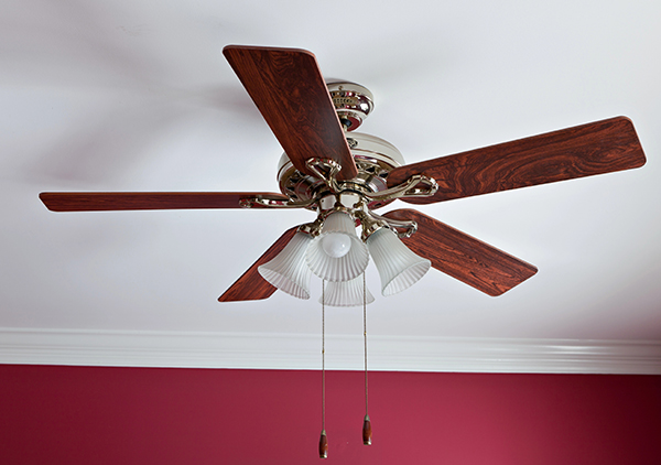 Ceiling Fans